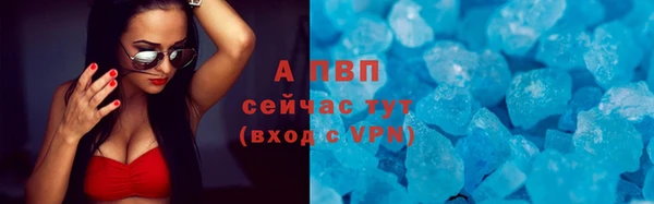 ECSTASY Новодвинск