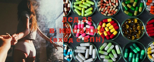 ECSTASY Новодвинск