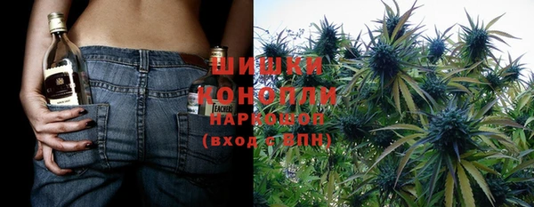 не бодяженный Новозыбков