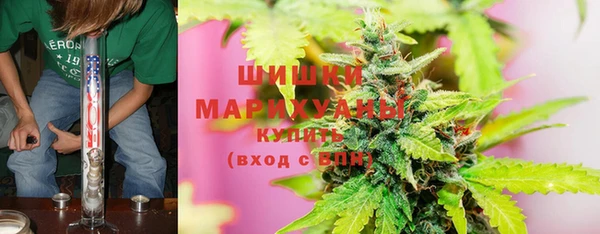 не бодяженный Новозыбков