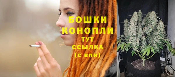 не бодяженный Новозыбков